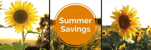 Summer stay and save promotion banner